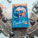 [Lecture] Cendrillon 2.0 – Il était une fangirl Tome 1 : Un gros coup de cœur !