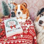 [Lecture Douze chiens pour Noël : Une bonne petite comédie romantique de Noël