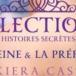 [Lecture] La Sélection, histoires secrètes, tome 2 : En attendant la suite !