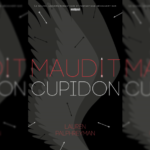 [Lecture] Maudit Cupidon : Une Lecture originale !