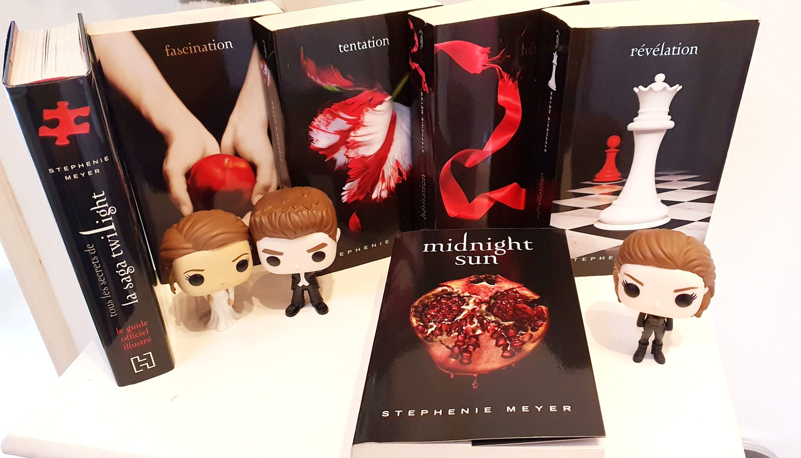Twilight relié en cuir Stephenie Meyer Livre relié -  France
