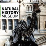 [Voyage] Le Natural History Museum à Londres !