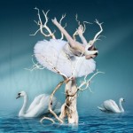 [Sorties] Danse Classique avec le Lac des Cygnes au Palais des Congrès